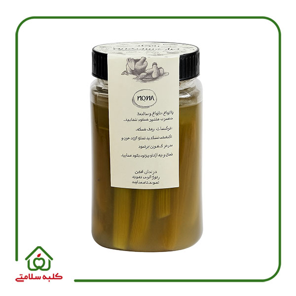 خیارشور تخمیری نونا