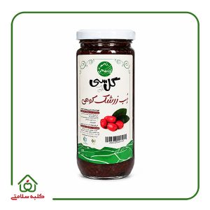 رب زرشک‌کوهی ارگانیک 600 گرمی گل‌باغ‌سی